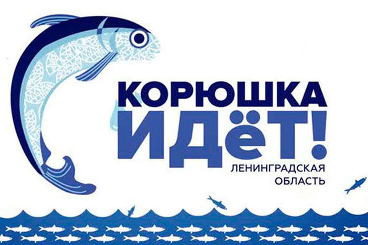 Прием заявок на участие в фестивале «Корюшка идет!»