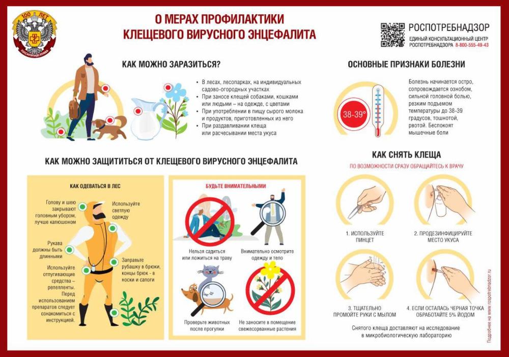 В чем опасность укуса клещом?